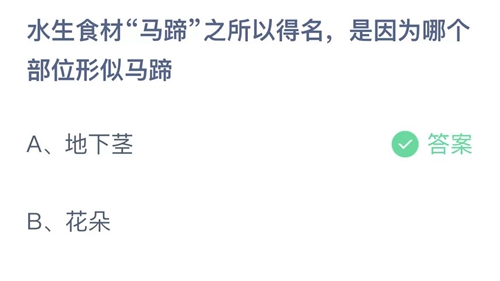 蚂蚁庄园：水生食材马蹄之所以得名，是因为哪个部位形似马蹄？