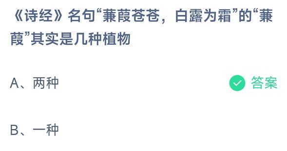 蚂蚁庄园：《诗经》名句“蒹葭苍苍，白露为霜”的“蒹葭”其实是几种植物？