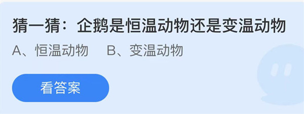 蚂蚁庄园：企鹅是恒温动物还是变温动物