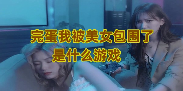 完蛋我被美女包围了是什么游戏