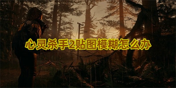 心灵杀手2贴图模糊怎么办