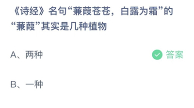 支付宝蚂蚁庄园今日答题问题答案大全11.12 兼葭苍苍白露为霜的兼其实是几种植物