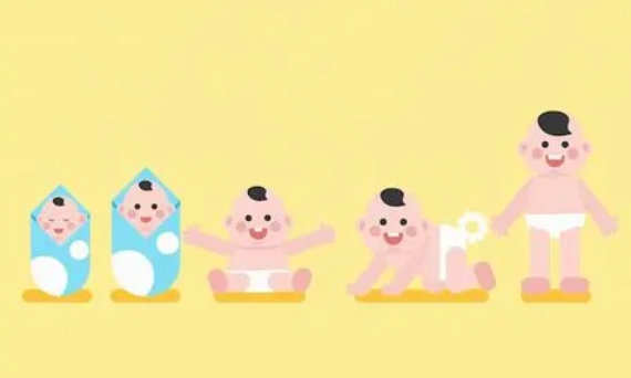 丽人母婴app合集 丽人母婴app合集