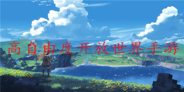 高自由度开放世界 高自由度开放世界
